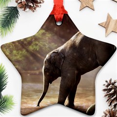 Baby Elephant Watering Hole Star Ornament (two Sides) by Sarkoni