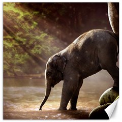 Baby Elephant Watering Hole Canvas 20  X 20  by Sarkoni