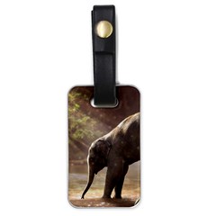 Baby Elephant Watering Hole Luggage Tag (one Side) by Sarkoni