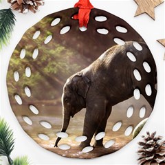 Baby Elephant Watering Hole Ornament (round Filigree) by Sarkoni