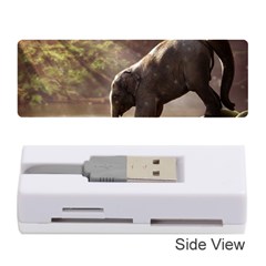 Baby Elephant Watering Hole Memory Card Reader (stick) by Sarkoni