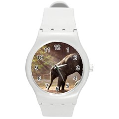 Baby Elephant Watering Hole Round Plastic Sport Watch (m) by Sarkoni