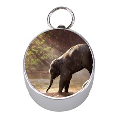 Baby Elephant Watering Hole Mini Silver Compasses by Sarkoni