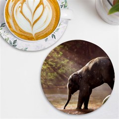 Baby Elephant Watering Hole Uv Print Round Tile Coaster by Sarkoni