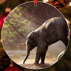 Baby Elephant Watering Hole Uv Print Acrylic Ornament Round by Sarkoni