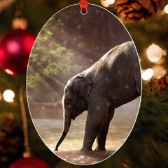 Baby Elephant Watering Hole Uv Print Acrylic Ornament Oval by Sarkoni