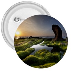 Coast Algae Sea Beach Shore 3  Buttons by Sarkoni