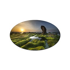 Coast Algae Sea Beach Shore Sticker (oval) by Sarkoni