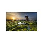 Coast Algae Sea Beach Shore Sticker (Rectangular) Front