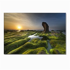 Coast Algae Sea Beach Shore Postcards 5  X 7  (pkg Of 10) by Sarkoni