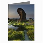 Coast Algae Sea Beach Shore Greeting Card Left