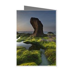 Coast Algae Sea Beach Shore Mini Greeting Cards (pkg Of 8) by Sarkoni