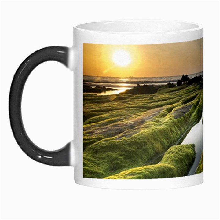 Coast Algae Sea Beach Shore Morph Mug