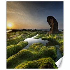 Coast Algae Sea Beach Shore Canvas 20  X 24  by Sarkoni