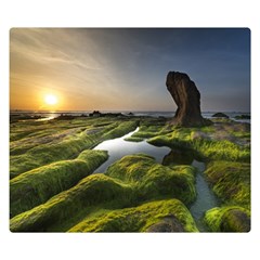 Coast Algae Sea Beach Shore Two Sides Premium Plush Fleece Blanket (small) by Sarkoni