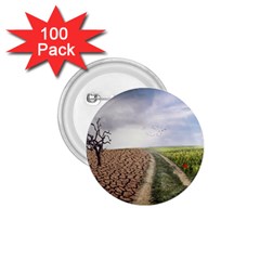 Climate Landscape 1 75  Buttons (100 Pack) 