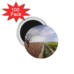 Climate Landscape 1 75  Magnets (100 Pack)  by Sarkoni