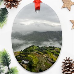 Residential Paddy Field Step Cloud Ornament (oval) by Sarkoni