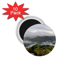 Residential Paddy Field Step Cloud 1 75  Magnets (10 Pack)  by Sarkoni