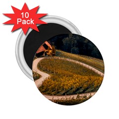 Vineyard Agriculture Farm Autumn 2 25  Magnets (10 Pack)  by Sarkoni