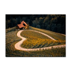 Vineyard Agriculture Farm Autumn Sticker A4 (10 Pack) by Sarkoni