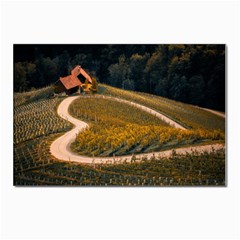 Vineyard Agriculture Farm Autumn Postcard 4 x 6  (pkg Of 10) by Sarkoni