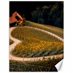 Vineyard Agriculture Farm Autumn Canvas 12  x 16  11.86 x15.41  Canvas - 1