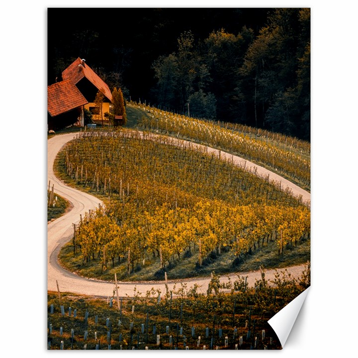 Vineyard Agriculture Farm Autumn Canvas 12  x 16 