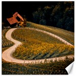 Vineyard Agriculture Farm Autumn Canvas 20  x 20  19 x19.27  Canvas - 1