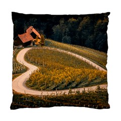 Vineyard Agriculture Farm Autumn Standard Cushion Case (one Side) by Sarkoni