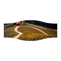 Vineyard Agriculture Farm Autumn Stretchable Headband by Sarkoni