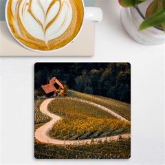 Vineyard Agriculture Farm Autumn Uv Print Square Tile Coaster  by Sarkoni