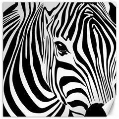 Animal Cute Pattern Art Zebra Canvas 12  X 12  by Amaryn4rt