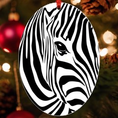 Animal Cute Pattern Art Zebra Uv Print Acrylic Ornament Oval by Amaryn4rt