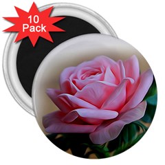 Rose Pink Flowers Pink Saturday 3  Magnets (10 Pack)  by Amaryn4rt