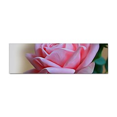 Rose Pink Flowers Pink Saturday Sticker Bumper (100 Pack) by Amaryn4rt