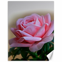 Rose Pink Flowers Pink Saturday Canvas 12  X 16  by Amaryn4rt