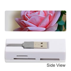 Rose Pink Flowers Pink Saturday Memory Card Reader (stick) by Amaryn4rt