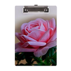 Rose Pink Flowers Pink Saturday A5 Acrylic Clipboard by Amaryn4rt