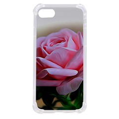 Rose Pink Flowers Pink Saturday Iphone Se by Amaryn4rt