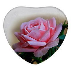 Rose Pink Flowers Pink Saturday Heart Glass Fridge Magnet (4 Pack) by Amaryn4rt