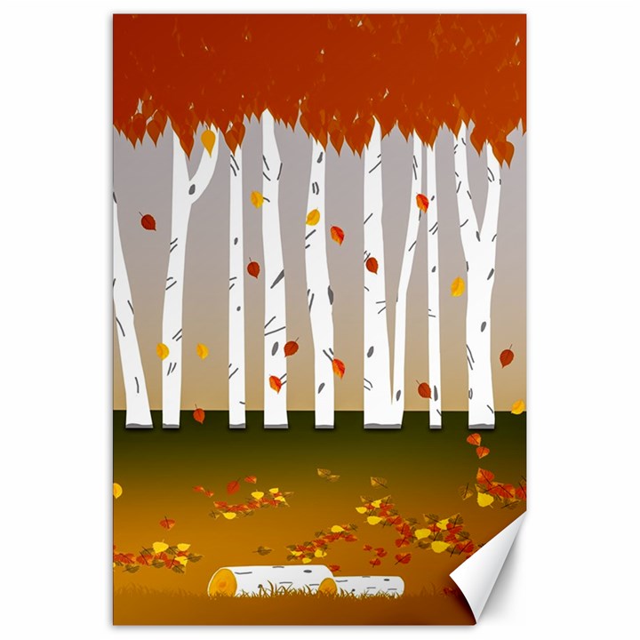 Birch Trees Fall Autumn Leaves Canvas 20  x 30 