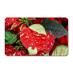 Poinsettia Christmas Star Plant Magnet (rectangular) by Sarkoni