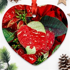 Poinsettia Christmas Star Plant Heart Ornament (two Sides) by Sarkoni