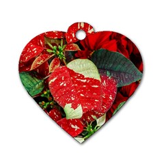 Poinsettia Christmas Star Plant Dog Tag Heart (one Side)