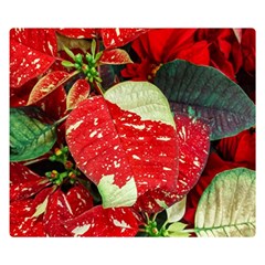 Poinsettia Christmas Star Plant Two Sides Premium Plush Fleece Blanket (small) by Sarkoni