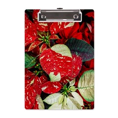 Poinsettia Christmas Star Plant A5 Acrylic Clipboard by Sarkoni