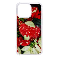 Poinsettia Christmas Star Plant Iphone 13 Pro Tpu Uv Print Case by Sarkoni