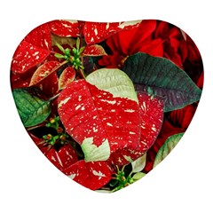 Poinsettia Christmas Star Plant Heart Glass Fridge Magnet (4 Pack) by Sarkoni