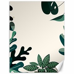 Leaves Plants Foliage Border Canvas 12  x 16 